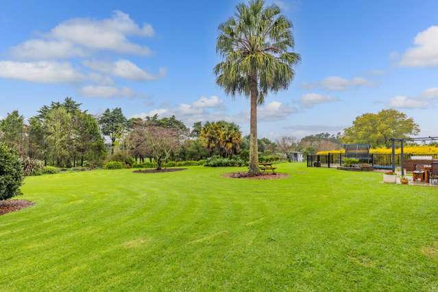 1403 Coatesville - Riverhead Highway Kumeu_1