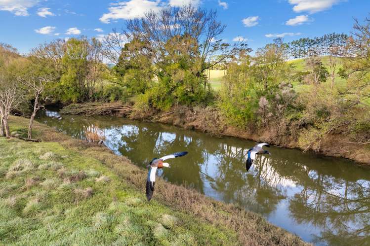 57 Papa Road Titoki_21