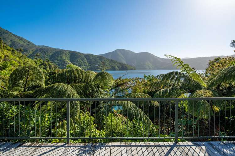 3178 Blackwood Bay Marlborough Sounds_52