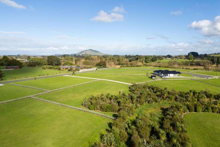 47 Taraire Road Pirongia_6