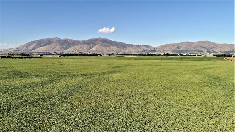 245 Selbie Road Lumsden Surrounds_0