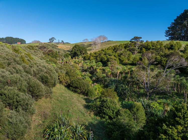 334A Komokoriki Hill Road Makarau_38