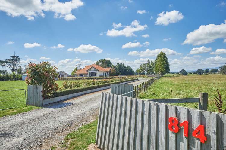 814 Roberts Line Bunnythorpe_33