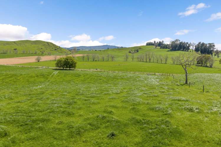 58 Nicholson Road Piarere_18