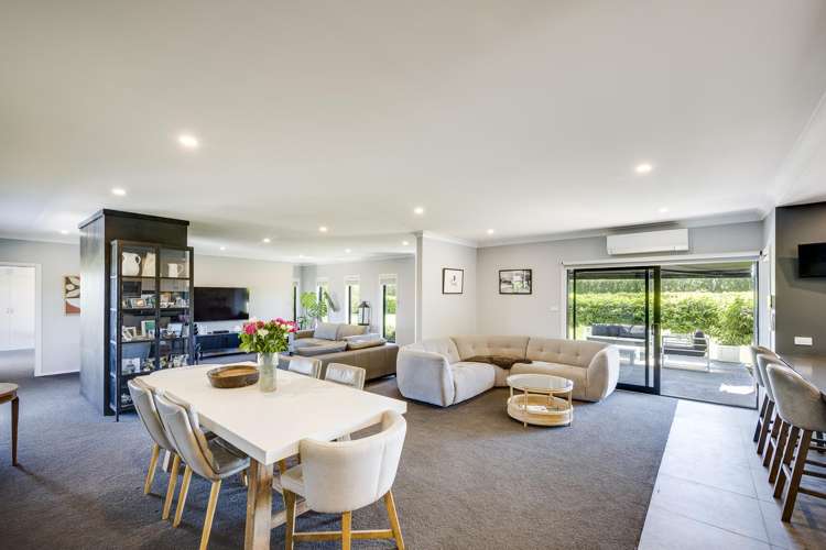 77 Algernon Road Longlands_3