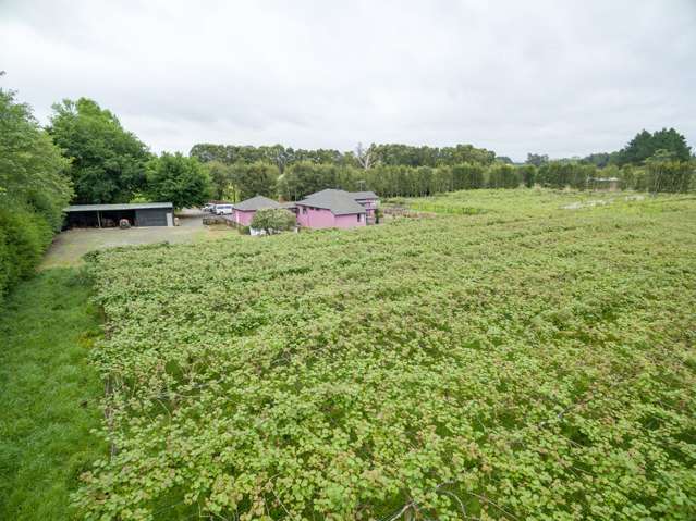 3451 Ohaupo Road Rukuhia_1