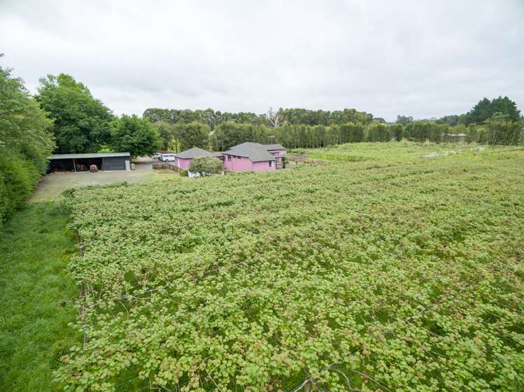 3451 Ohaupo Road Rukuhia_1