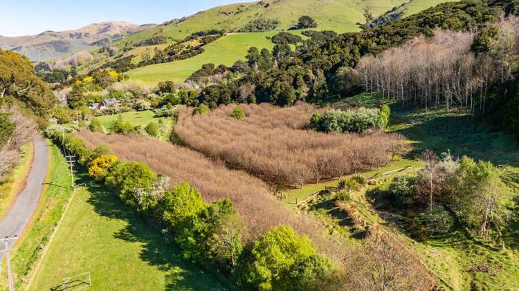 9 Harmans Track Little River_1