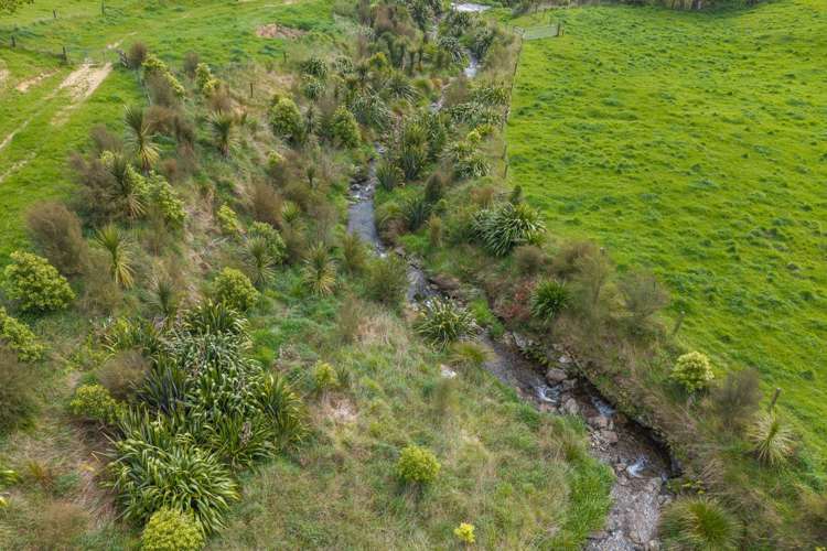 650 Ronga Road Rai Valley_35
