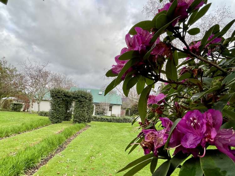 387 Wright Road Aongatete_25
