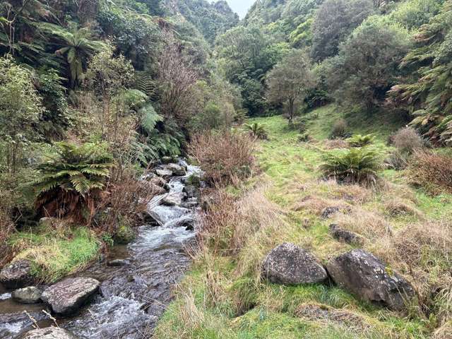 7957 State Highway 2 Opotiki Surrounds_1