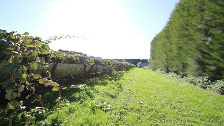 191 Gow Road Edgecumbe_9