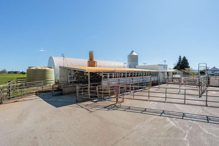 64 No 4 Road Morrinsville_5