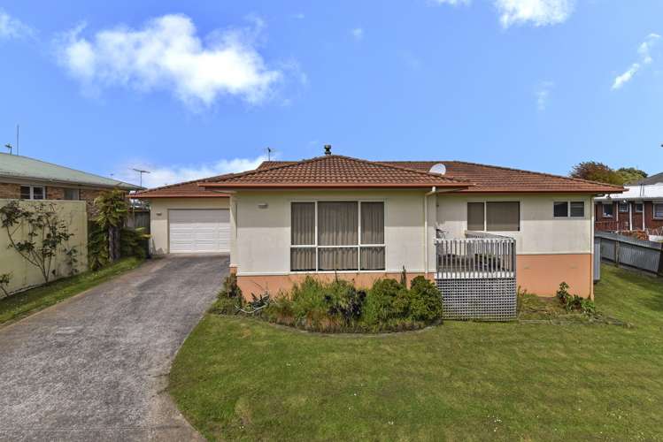 3 Guide Place Papatoetoe_0