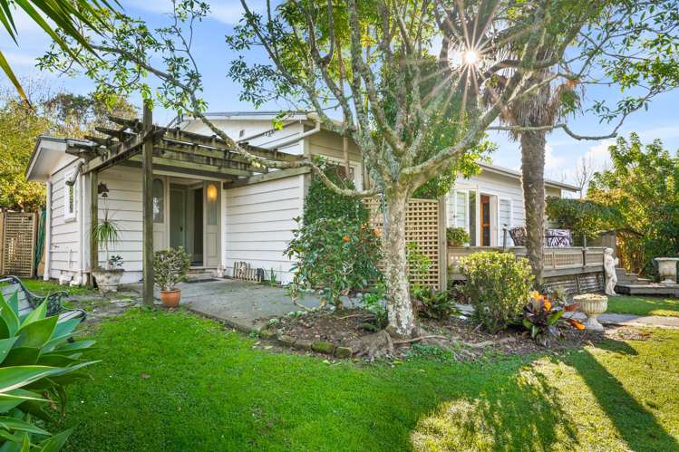 391 Pine Valley Road Dairy Flat_42
