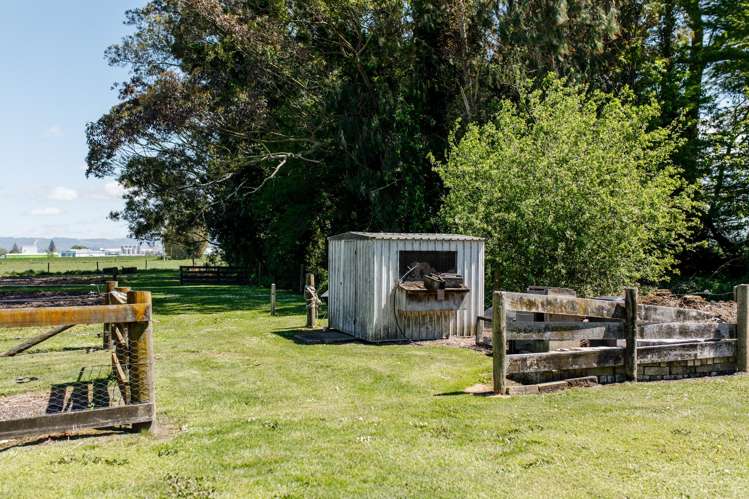 408a Awakeri Road Edgecumbe_45