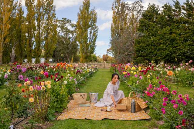 Iconic Greytown Honey; Home and Business