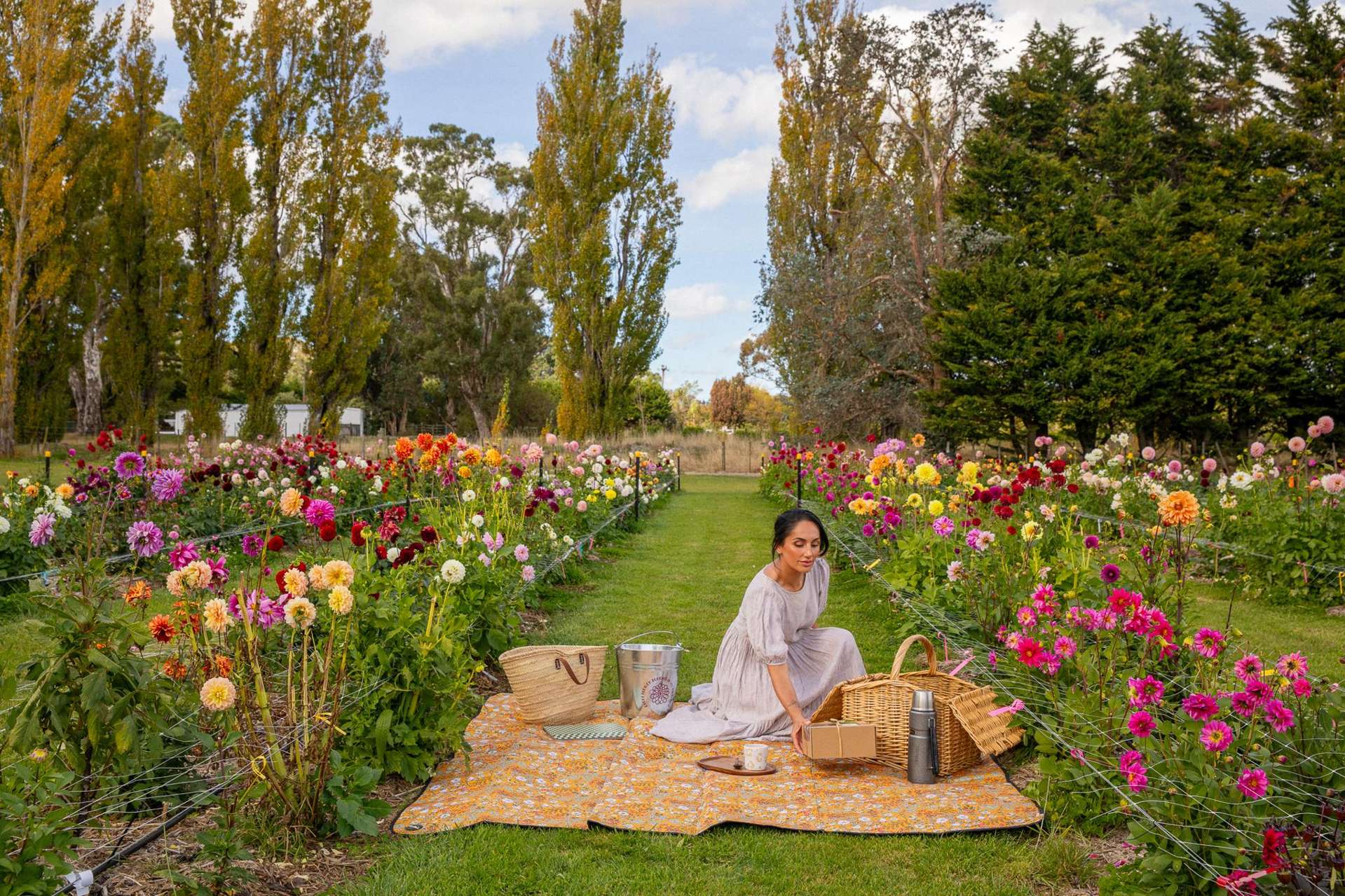 58 Moroa Road Tauherenikau_0