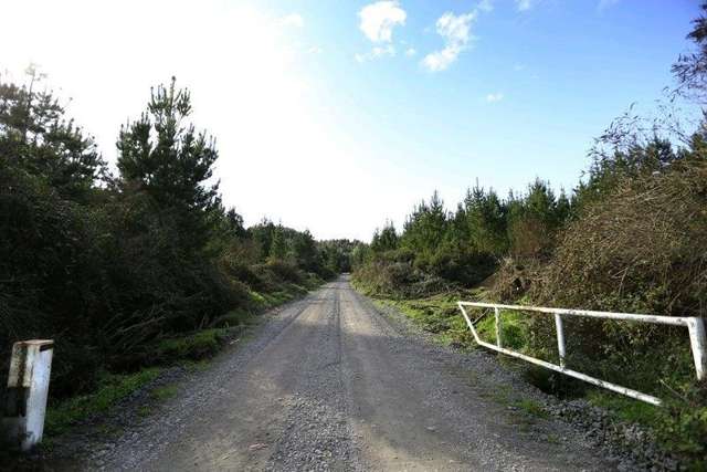 4 Black Road Murupara Surrounds_3