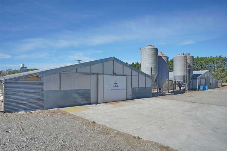 4 Logans Road Swannanoa_31