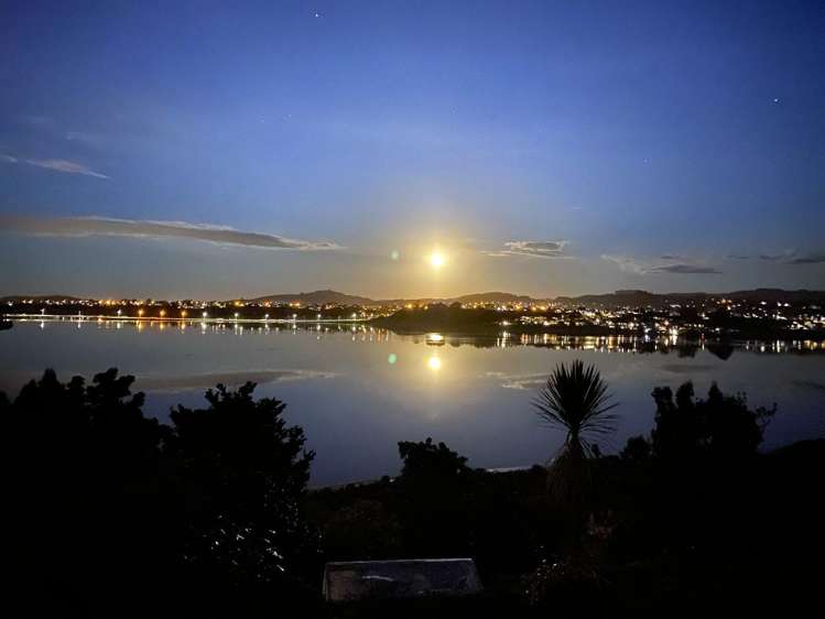 49 Baycroft Avenue Parkvale_30