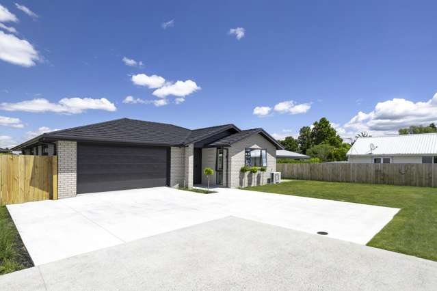 Brand New Freehold Family Home