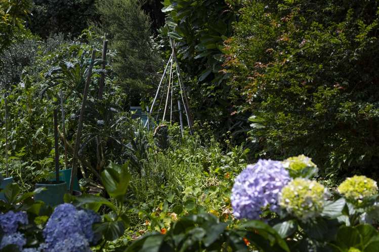 42 Tasman Heights Ahipara_42