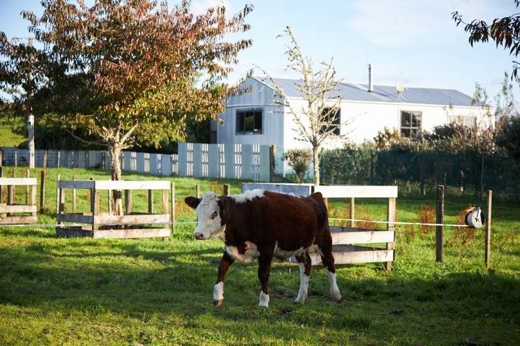 1528a Pyes Pa Road Oropi_22