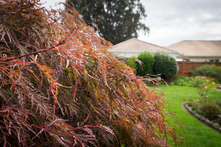 14 Kingsley Street Cambridge_23