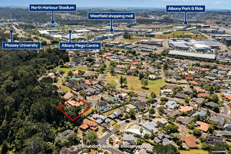 11 Houhere Close Albany_18