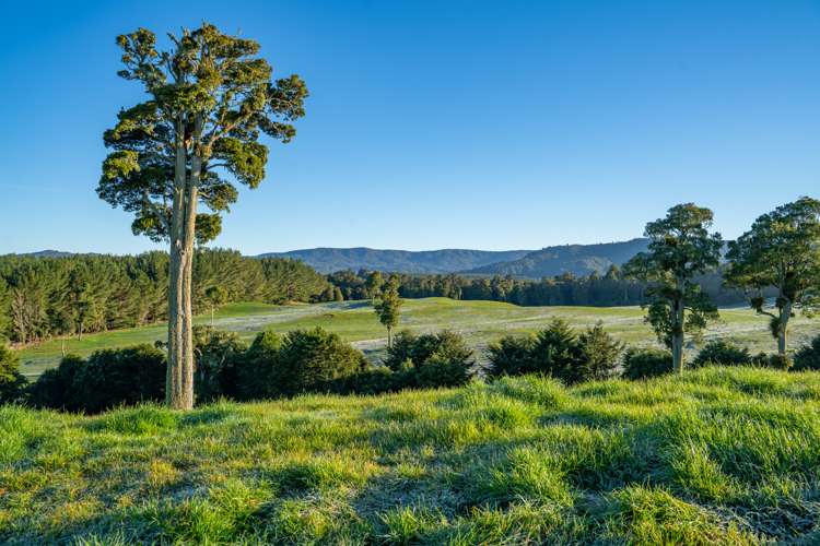 2709 State Highway 41 Kuratau_8