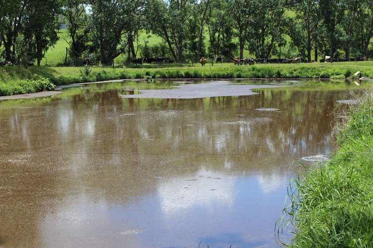 269 Kokopu Block Road Kokopu_9