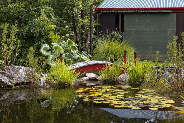 122 Airstrip Road Kaeo_4