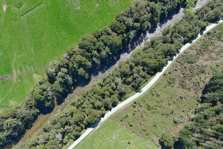 Owen Valley East Road Tasman_16