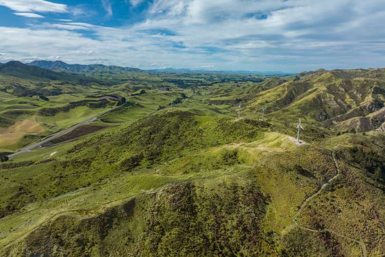 7797 State Highway 1 Ward_3