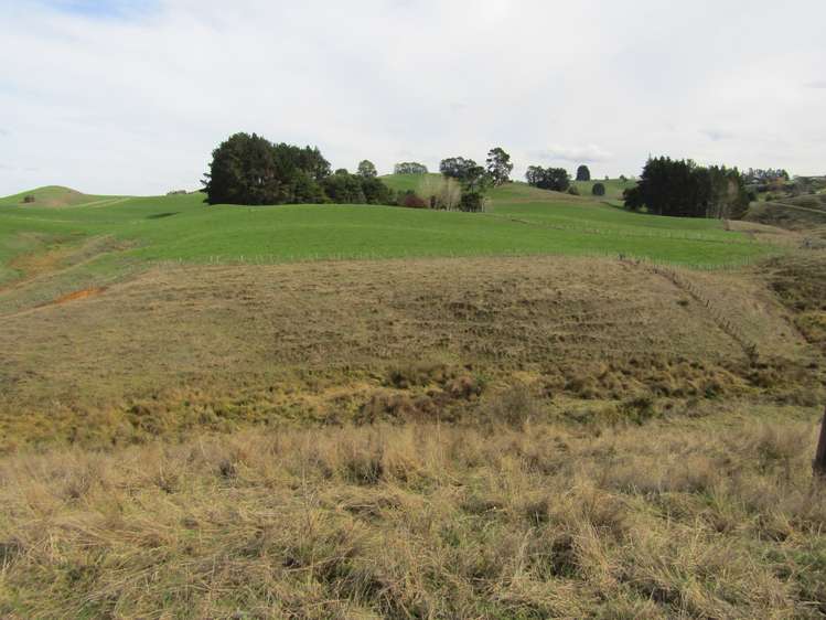 Te Tahi Road Pirongia_14