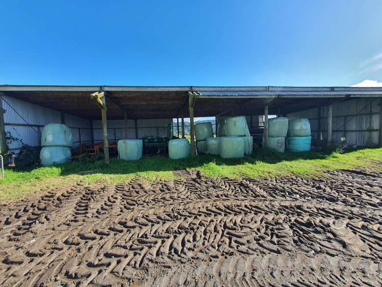 217 Poerua Valley Road Harihari_10