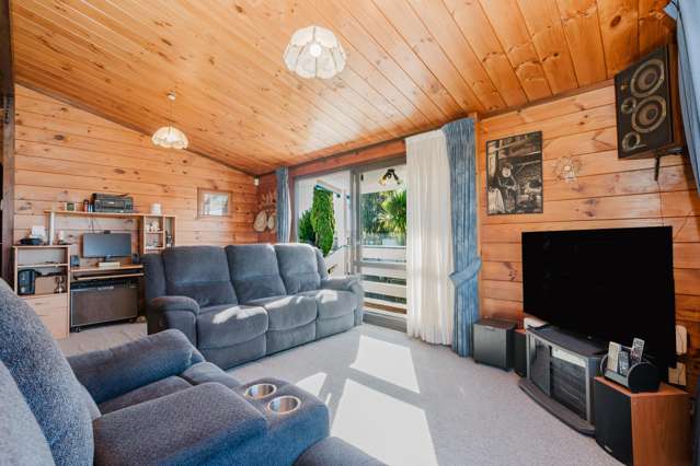 149A Ellicott Road Nawton_4