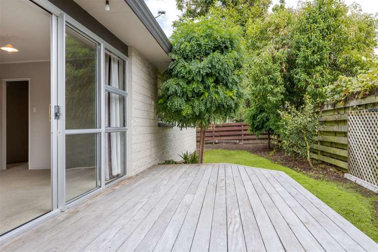 21b Murphys Road Springlands_15