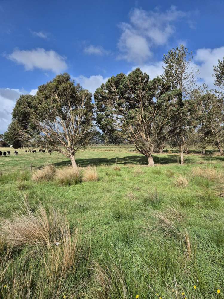 50B Painua Road Hokio Beach_7