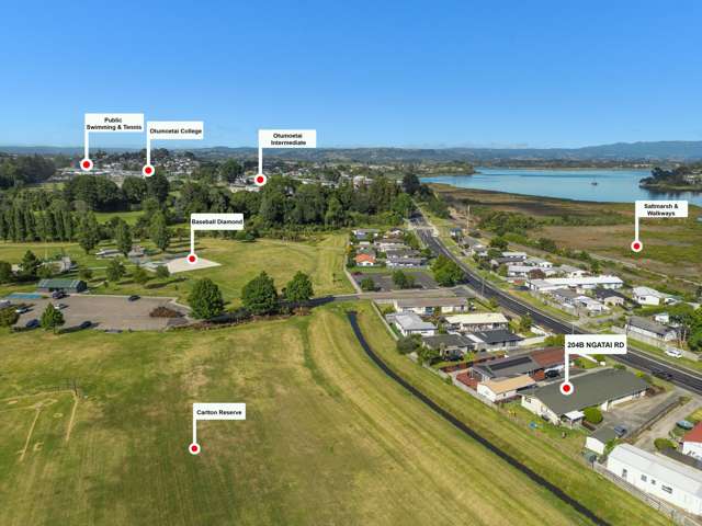 402b Ngatai Road Bellevue_1