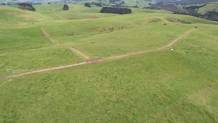 3902 State Highway 12 Dargaville Surrounds_20