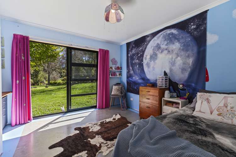 363 Roydon Downs Road Paengaroa_5