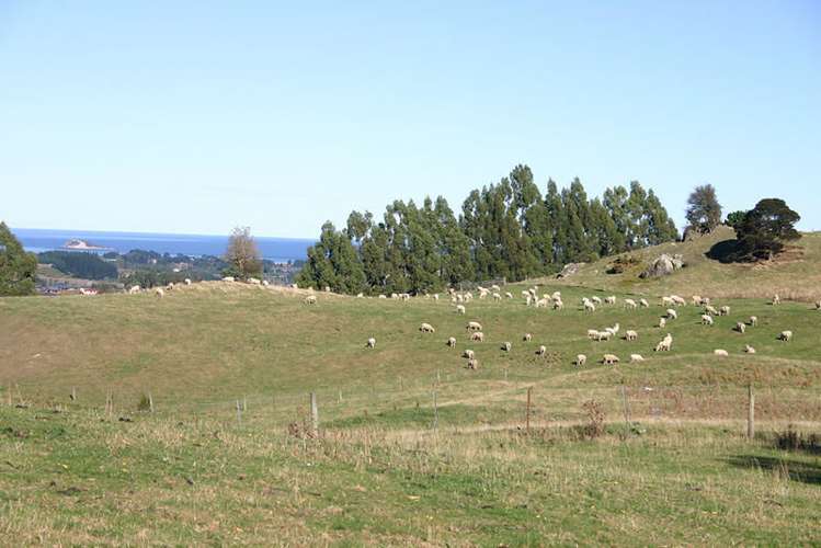 83 Mcmeakin Road Abbotsford_17