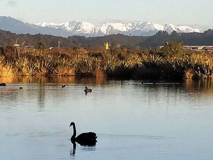 47 Nelson Quay Cobden_17