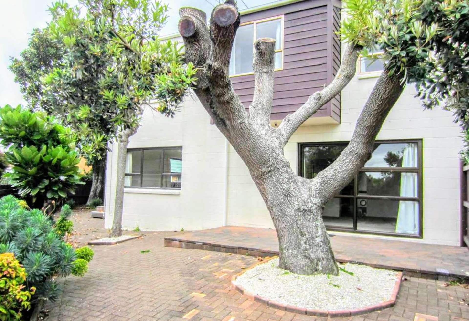 3/120 Celtic Crescent Ellerslie Auckland City Houses for Sale