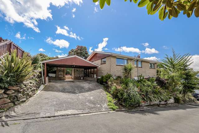 28 Hastings Street Wakari_2