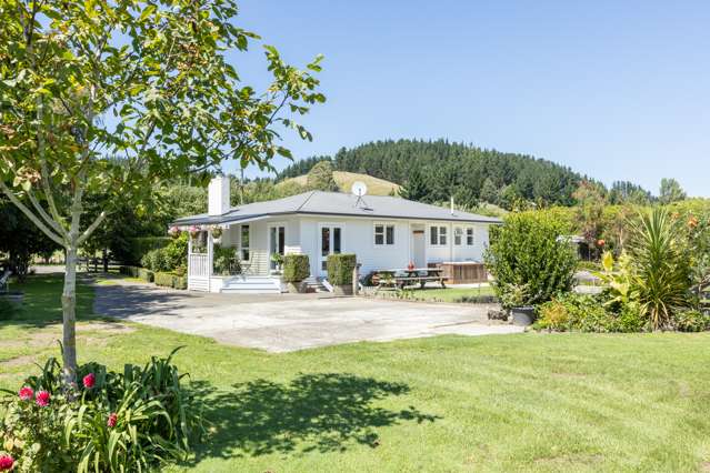 601 Swamp Road Puketapu_1