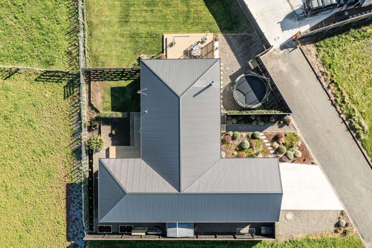 39 George Street Bulls_37