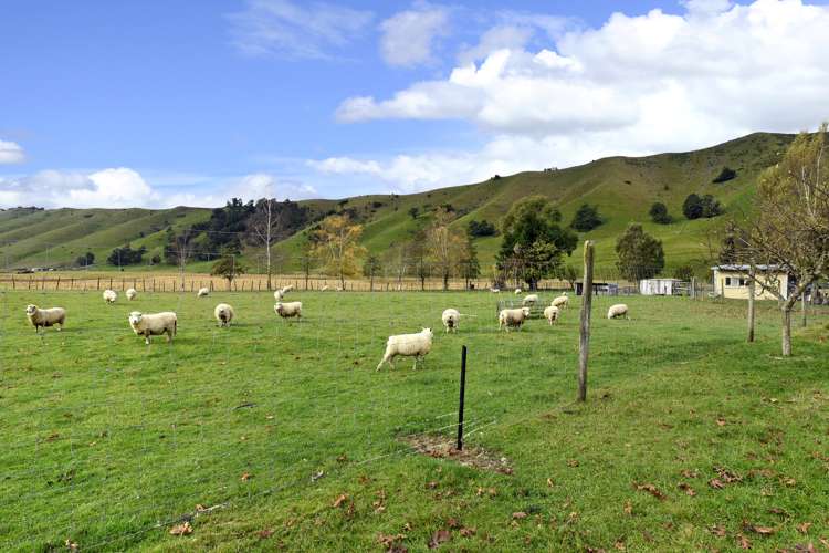 157 Korere Tophouse Road Kahurangi National Park_19